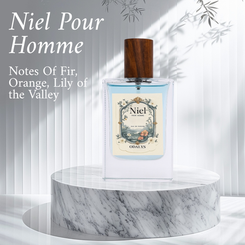 Niel Pour Homme by ODÀLYS – A Fresh, Bold Signature